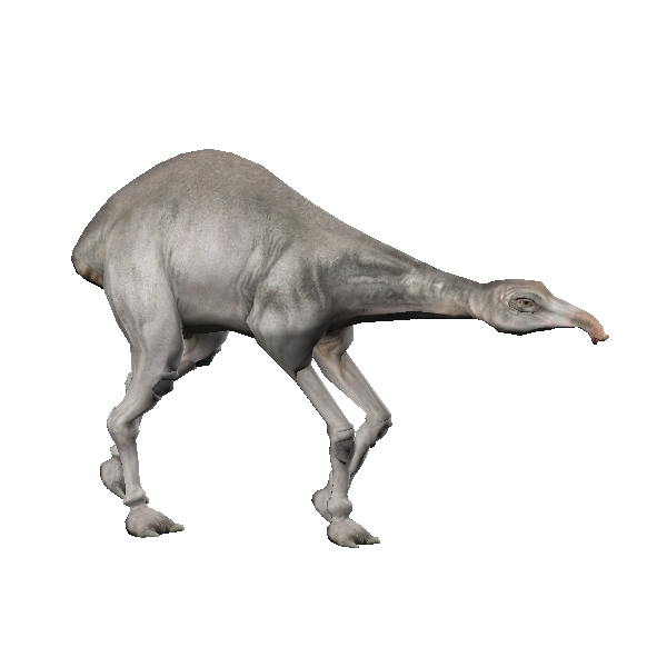 eopie
