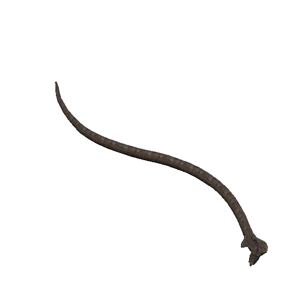 fanned rawl