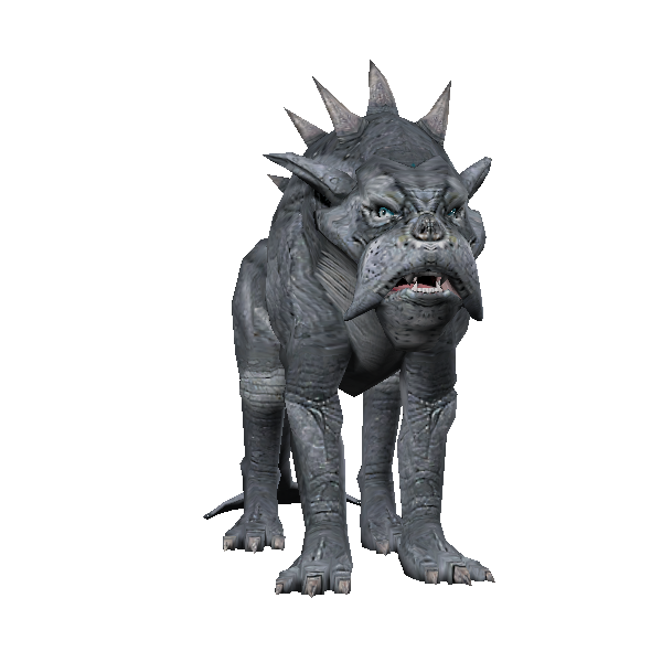 female dire cat