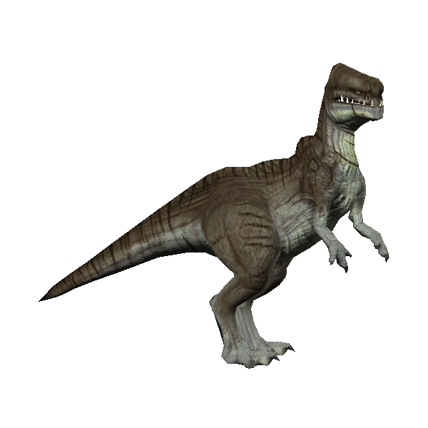 female kwi
