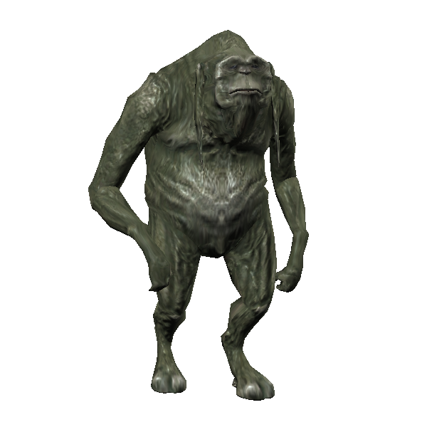 female mamien