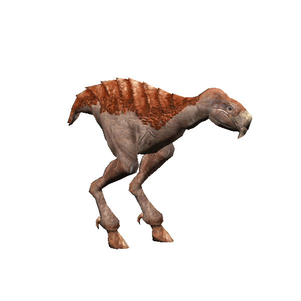 female mawgax