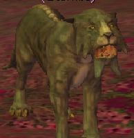 female plains tusk cat