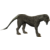 female plains tusk-cat