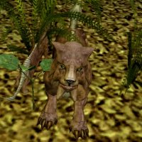 female swamp tusk cat