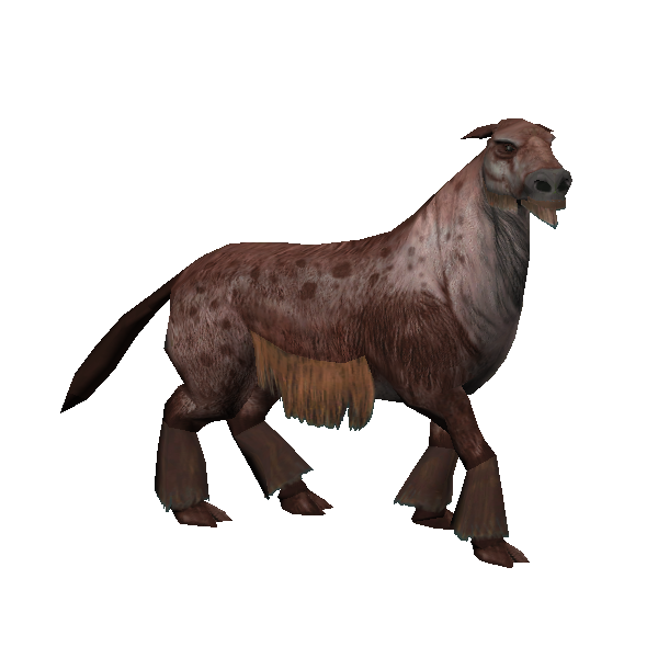 female tybis