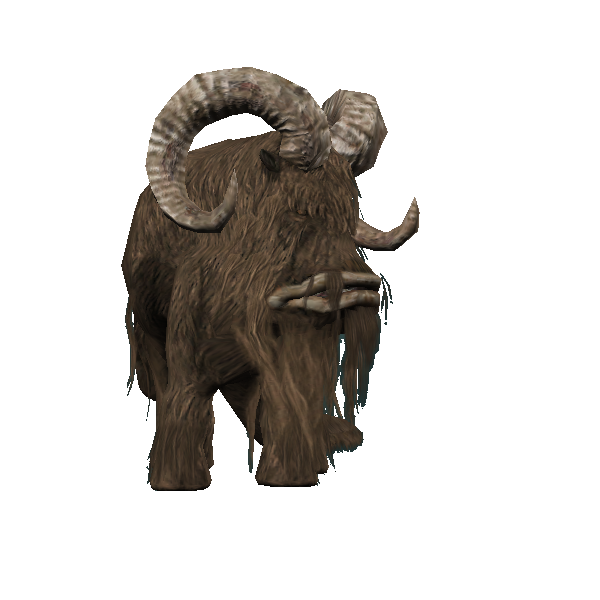 feral bantha