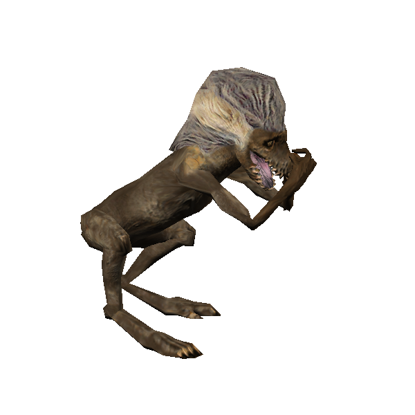 festering squill