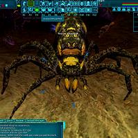 fire breathing spider