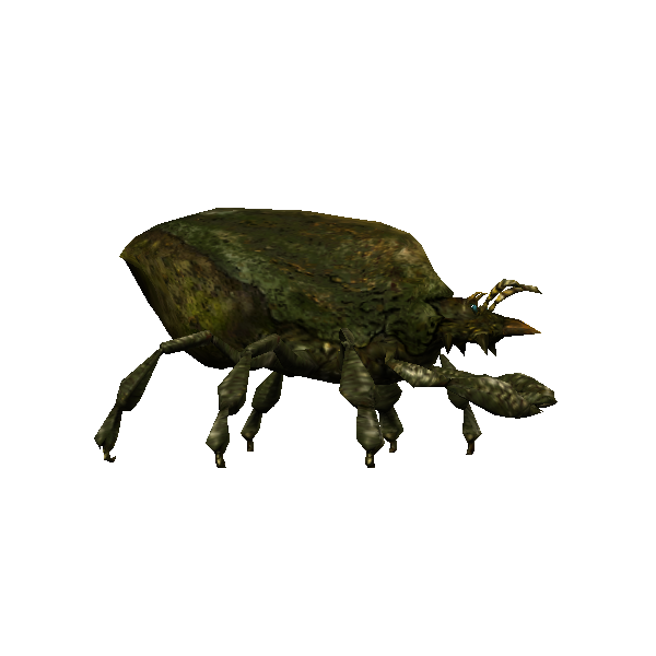 forest mite