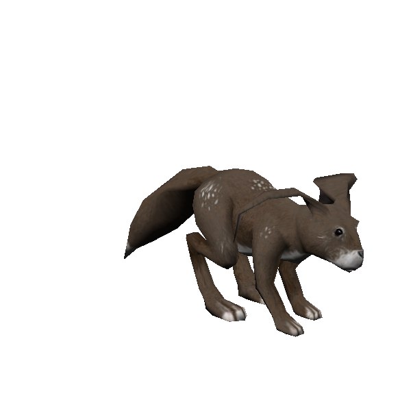 frail squall