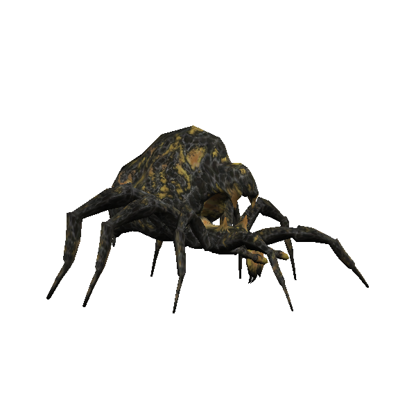 gaping spider broodling