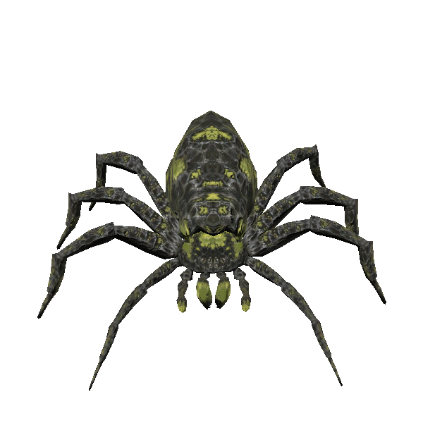 gaping spider recluse queen
