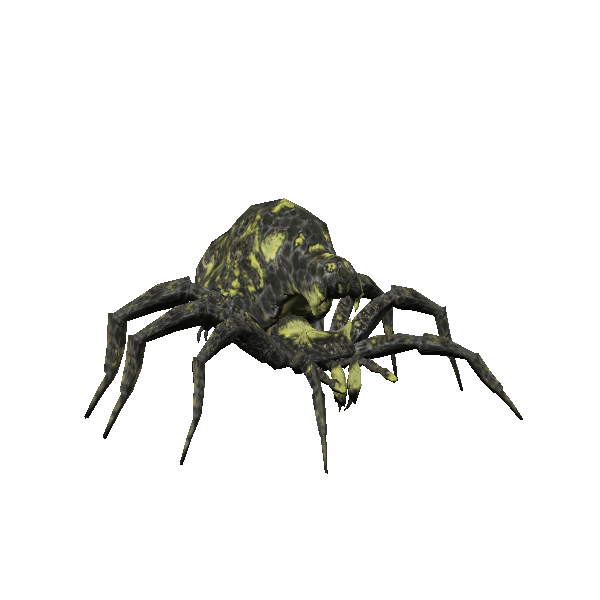 gaping spider recluse