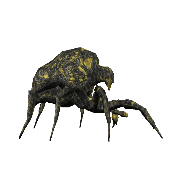 gaping spider