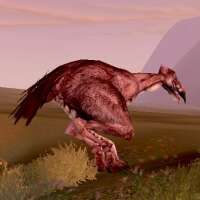 giant carrion spat