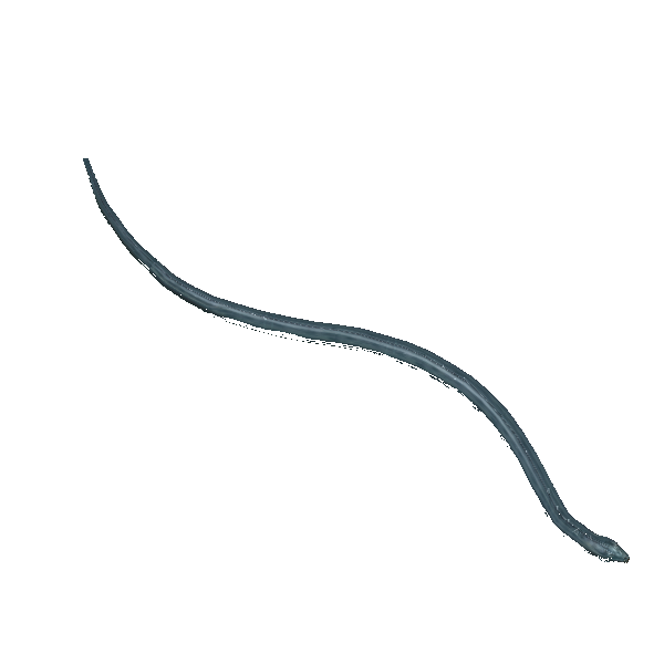 giant crystal snake