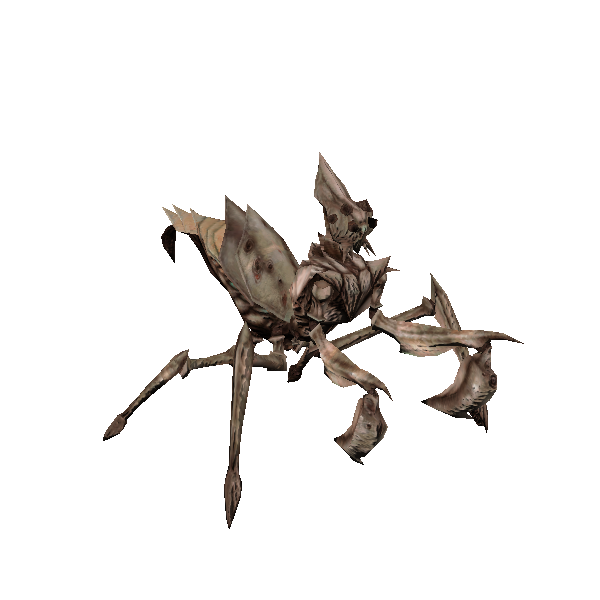 giant dalyrake