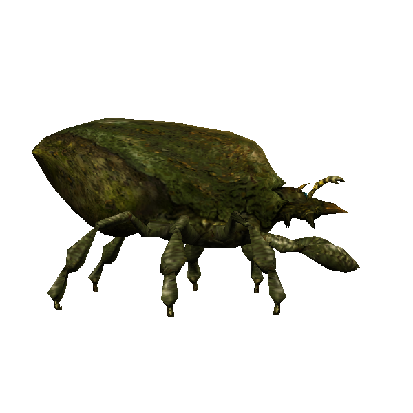 giant decay mite hatchling