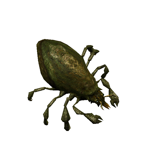 giant decay mite protector