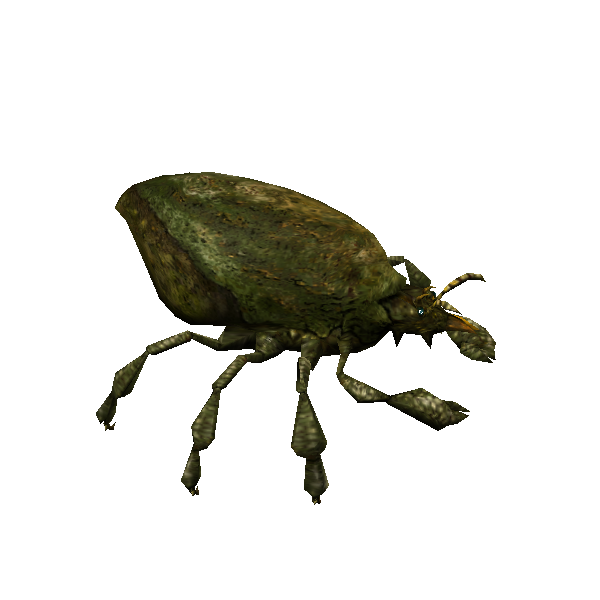 giant decay mite queen