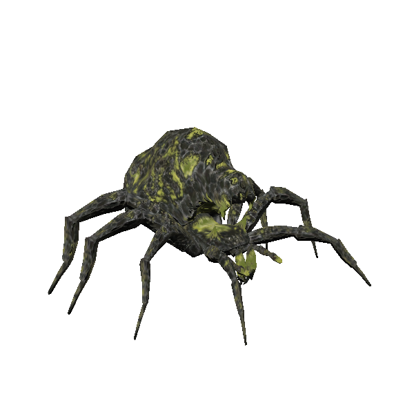 giant gaping spider recluse