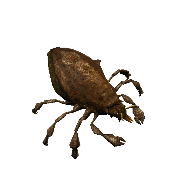 giant mutant bark mite