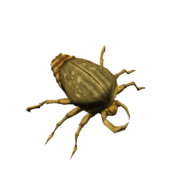 giant sand beetle