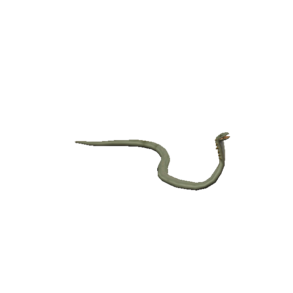 giant spined snake