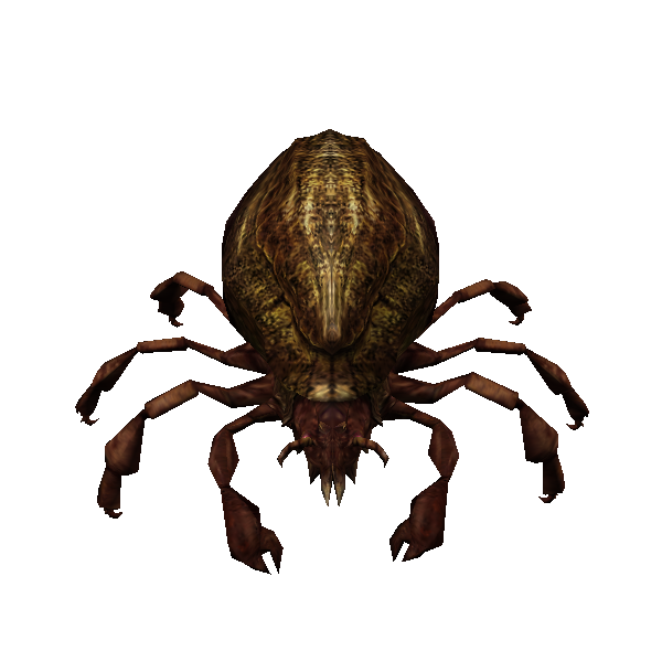 giant tanc mite