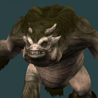 graul mangler