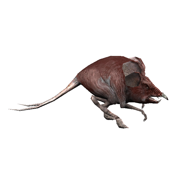 greater desert womp rat