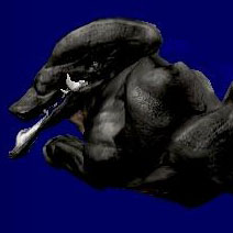gronda juggernaut