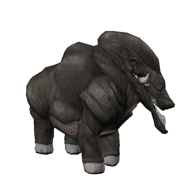 gronda