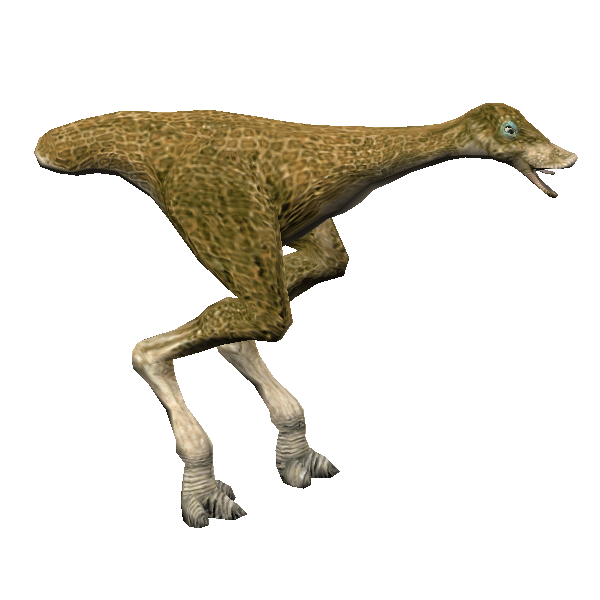 gungan kaadu