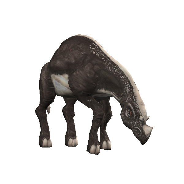gurnaset hatchling