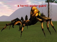 hermit spider guard