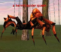 hermit spider queen