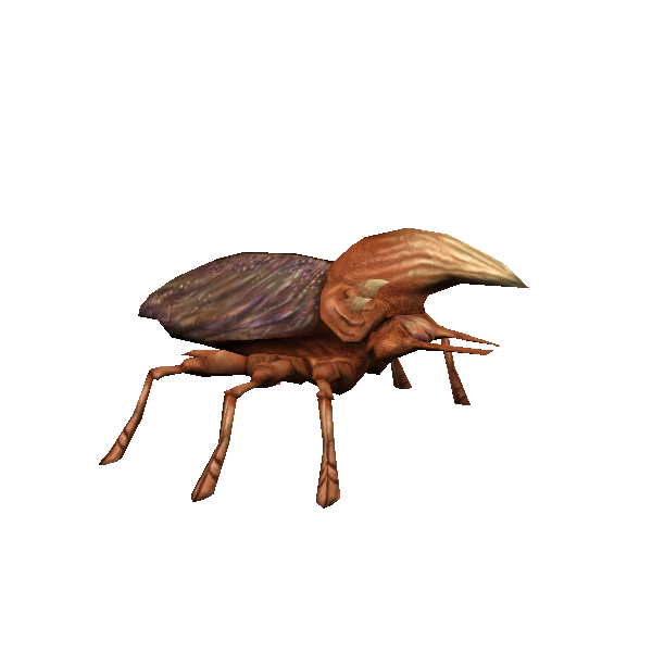 horned krevol