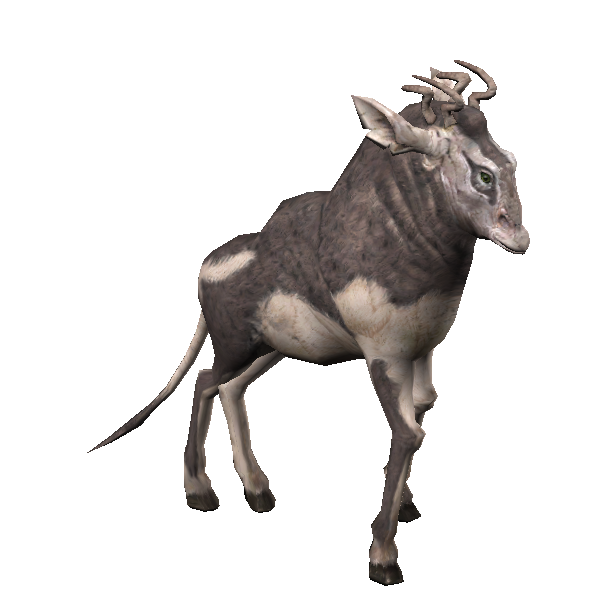 ikopi stag