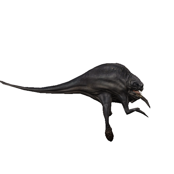 jundak