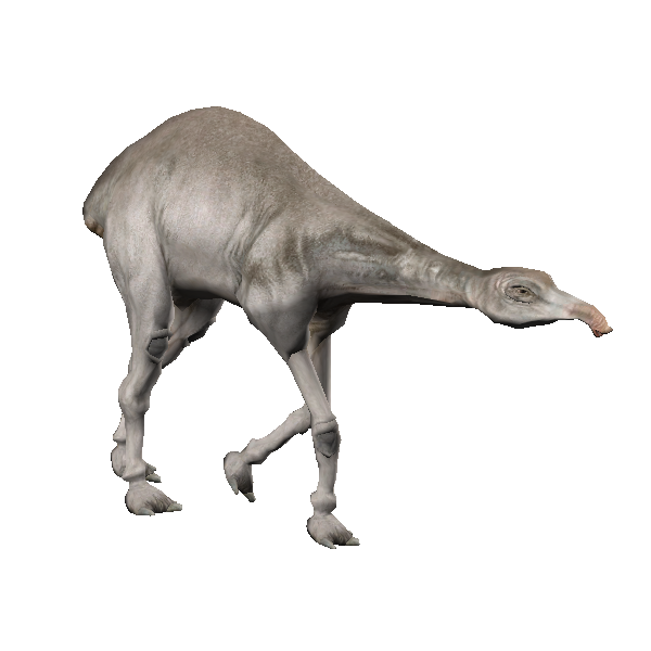 jundland eopie
