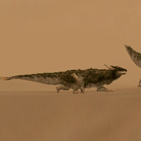 juvenile krayt dragon