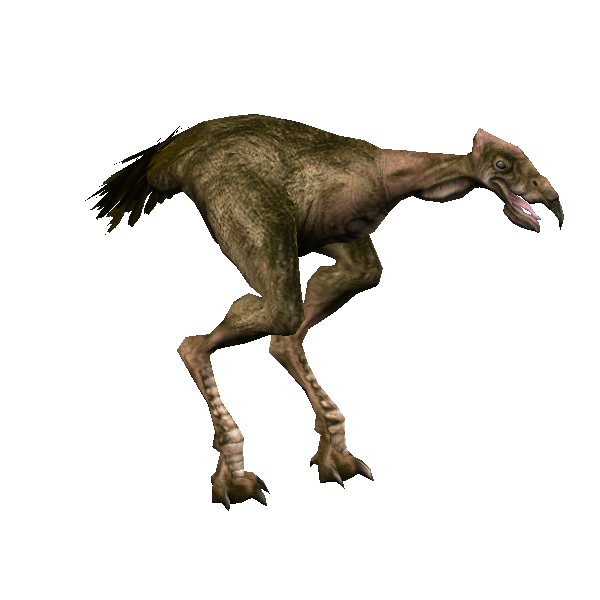 jyykle vulture
