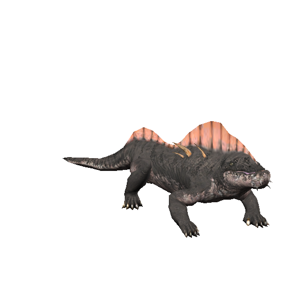 kamurith snapper