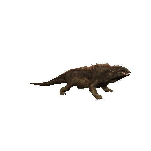 kimogila dwarf