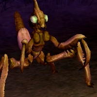 kliknik hunter