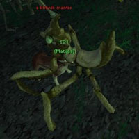 kliknik mantis