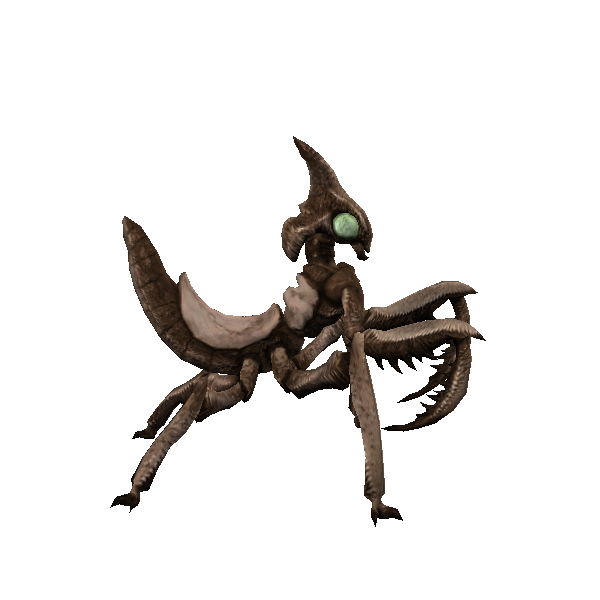 kliknik warrior
