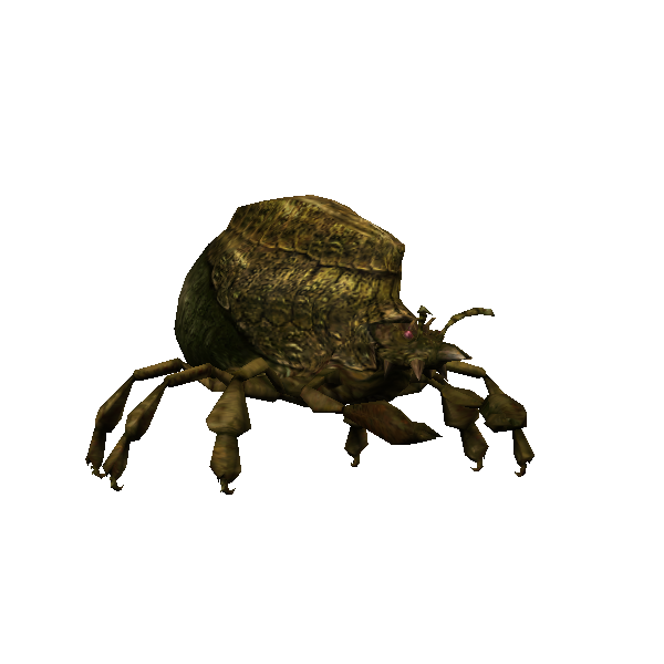 kreetle